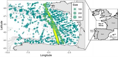 The Role of Climate, Oceanography, and Prey in Driving Decadal Spatio-Temporal Patterns of a Highly Mobile Top Predator